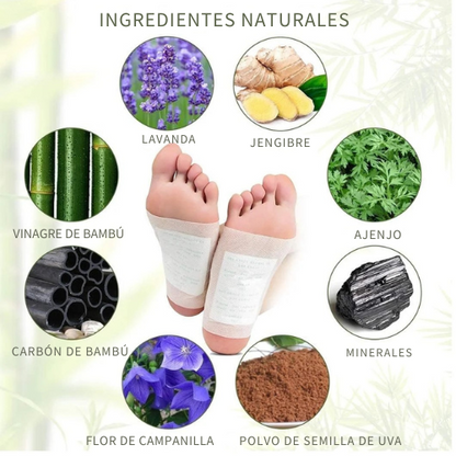 PARCHES KINOKI DESINTOXICANTES